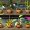 Plant Tycoon