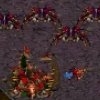 Starcraft Flash V Action