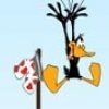 Daffy